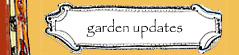 Garden Updates